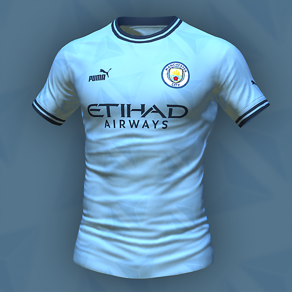 Manchester City Home Concept