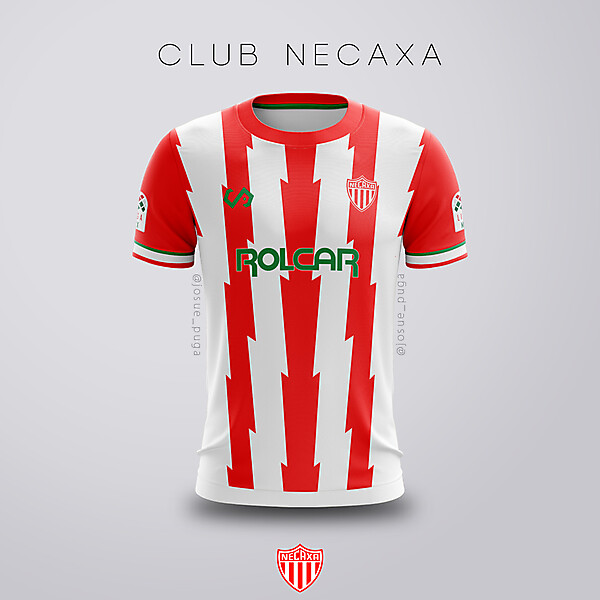 Necaxa Home Concept