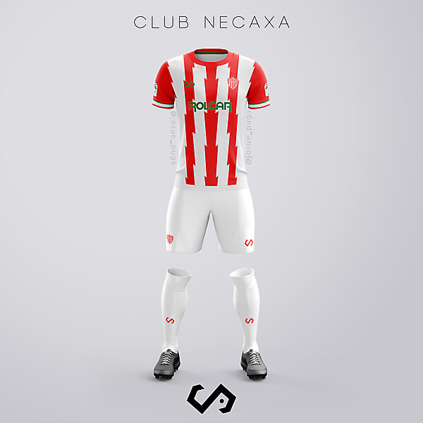 Necaxa Home Concept