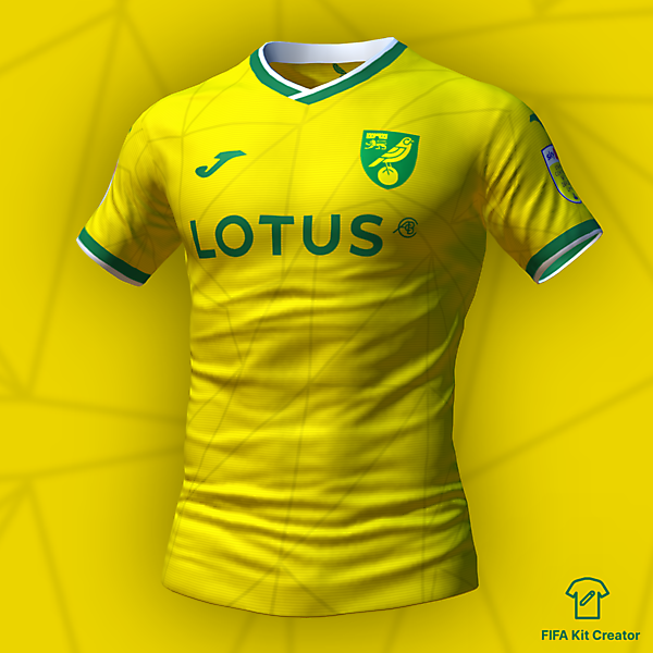 Norwich City home concept