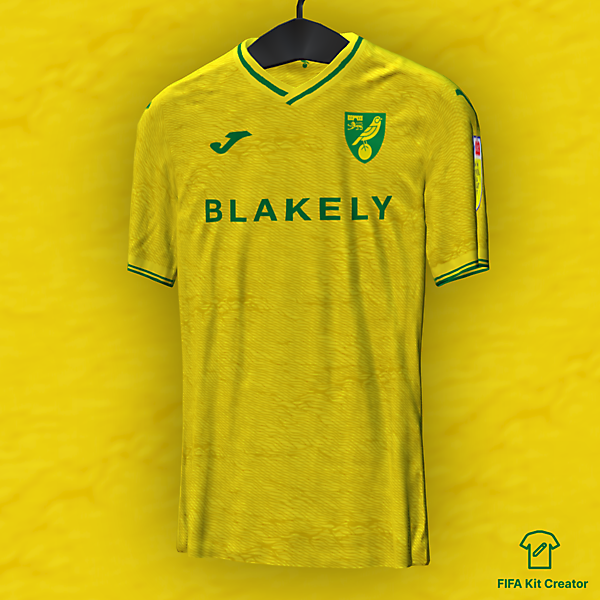 Norwich City home concept