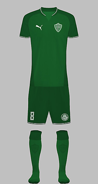 Palmeiras x Puma