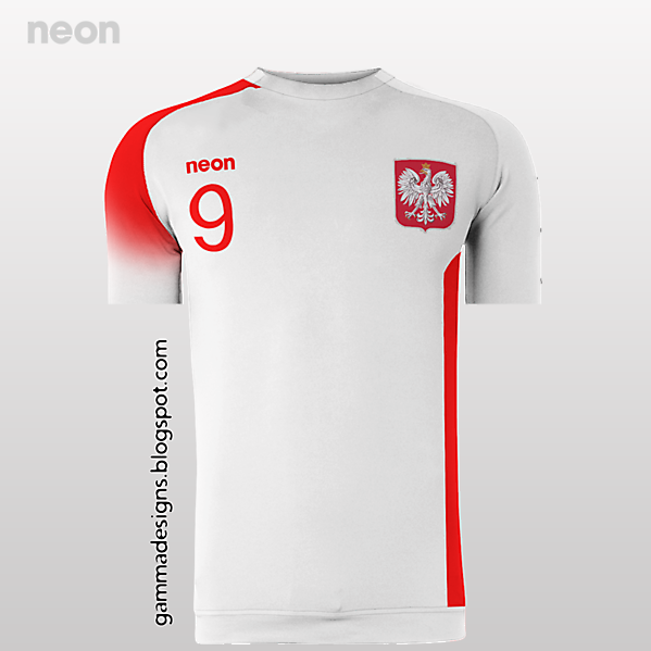 poland home kit