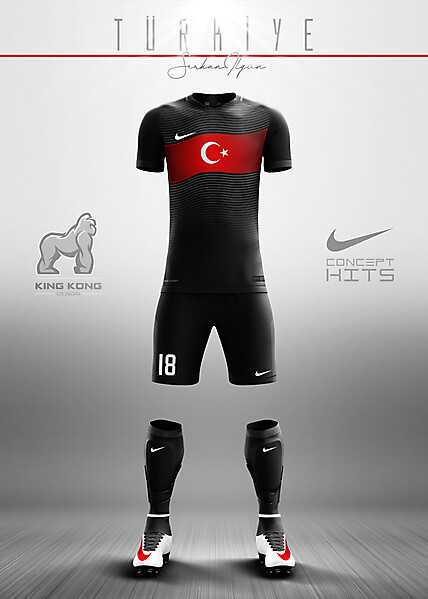 TURKEY CONCEPT KITS