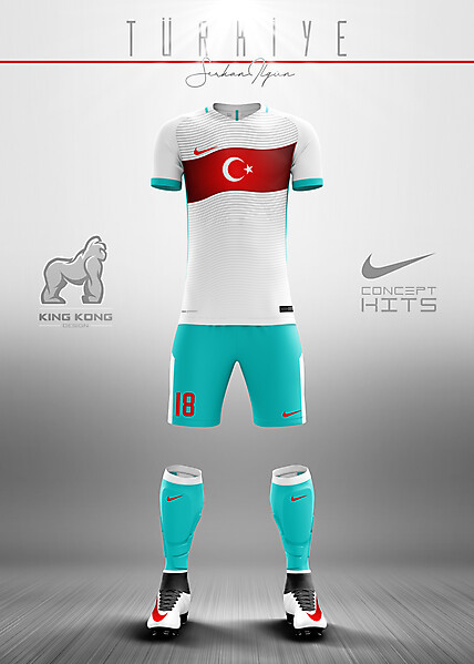 TURKEY CONCEPT KITS