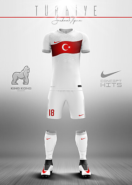 TURKEY CONCEPT KITS