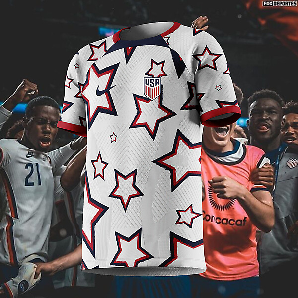 Usa home concept #2