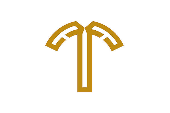 Cape Town City logo.