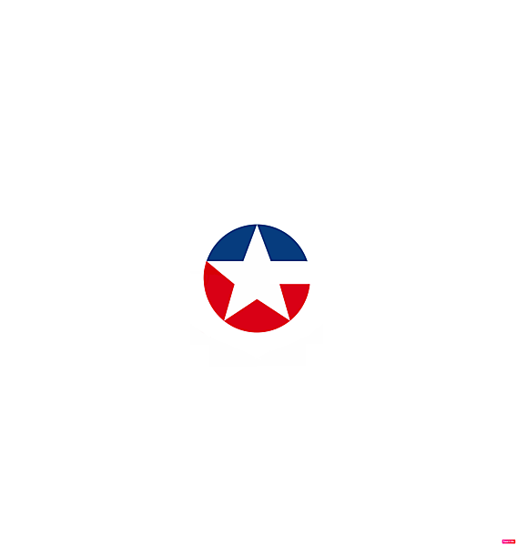 Chile Football Federation logo.