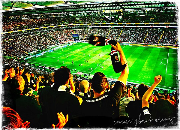 German Football Fans in flight