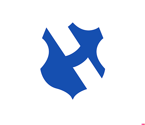 Hoffenheim TSG logo.