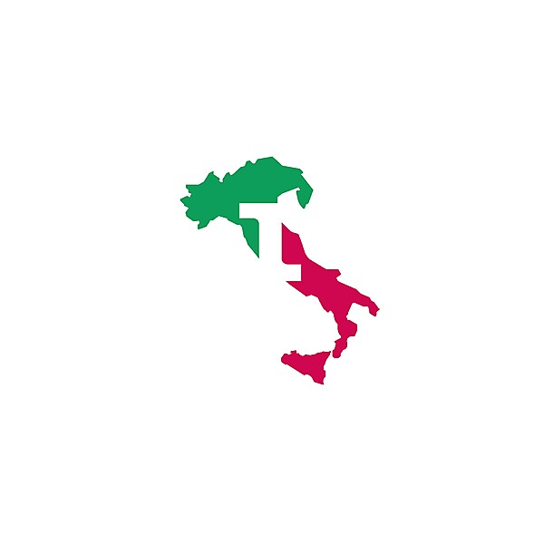 Italy FIGC logo .