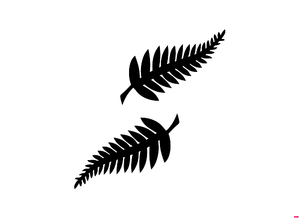 New Zealand football logo.