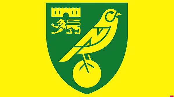 Norwich City logo update .