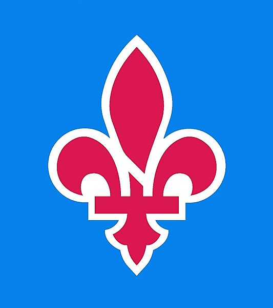 Quebec Nordiques alternative logo concept .