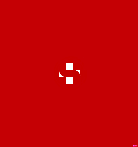 Team Switzerland logo.