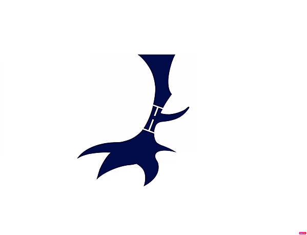 Tottenham Hotspur alternate logo.