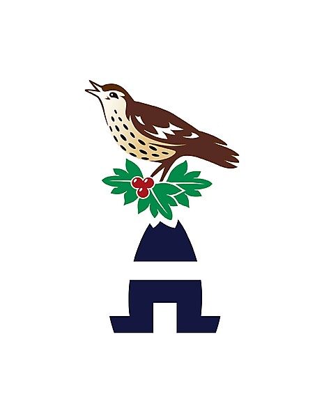 West Bromwich Albion logo .