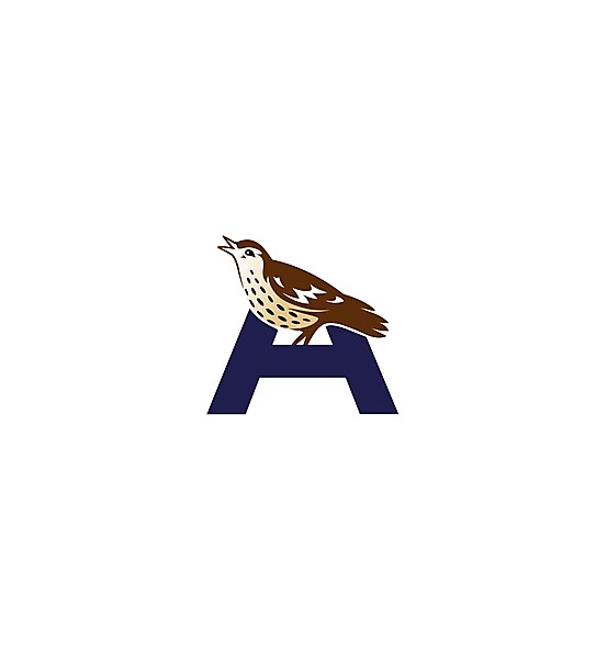 West Bromwich Albion  logo .