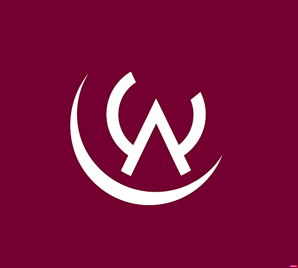 Wydad AC alternative logo.