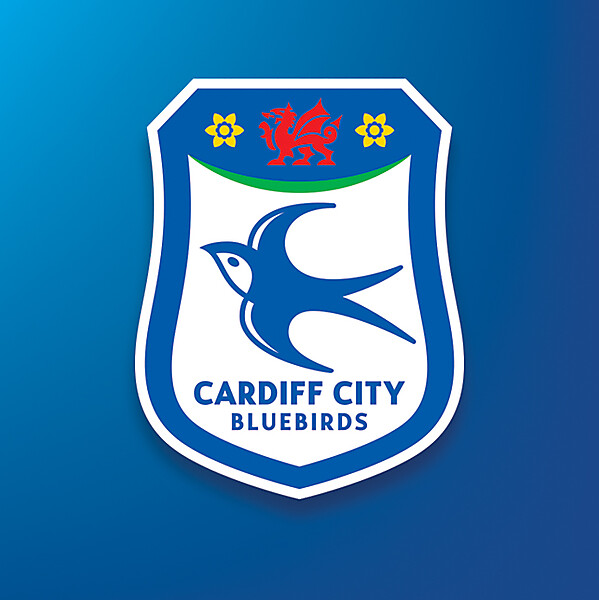 Cardiff City FC 1