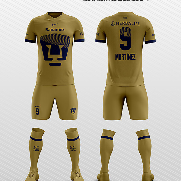 UNAM Home Kit
