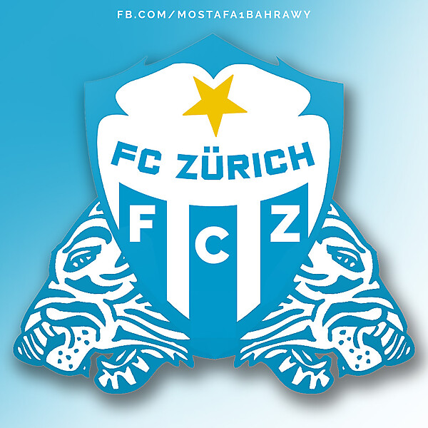 Group G - Match 2 - FC Zurich