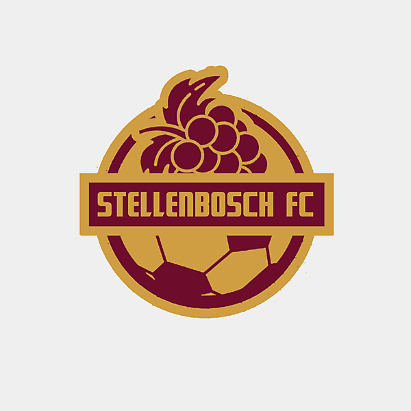 stellenbosch fc