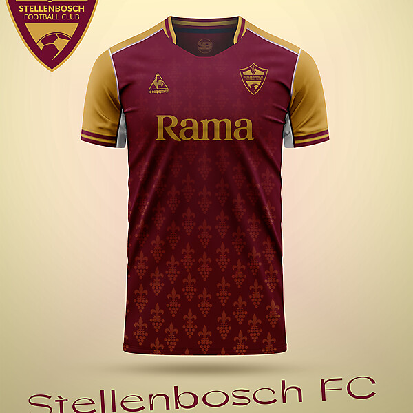 Stellenbosch FC home concept