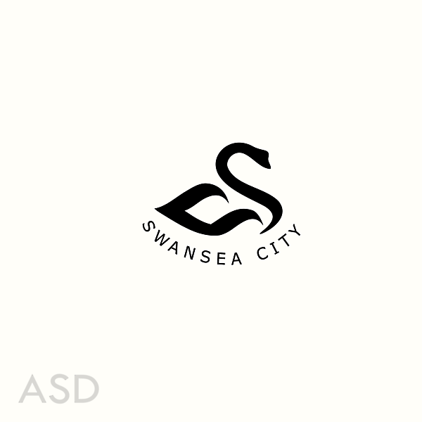 Swansea City AFC Concept