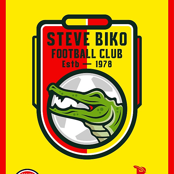 Steve Biko FC