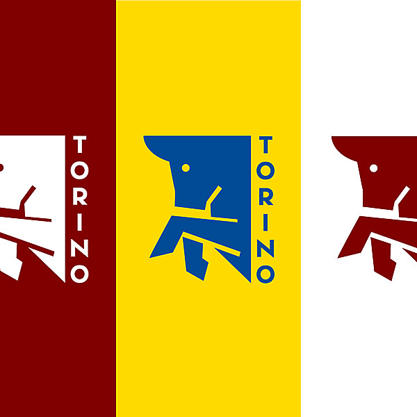 TORINO REBRAND KITS