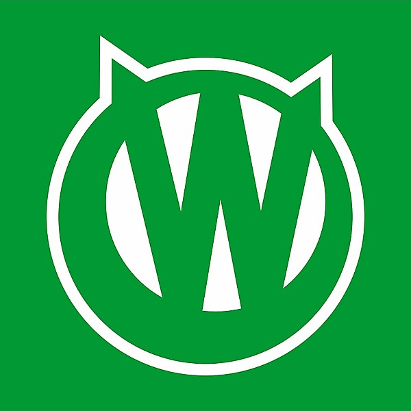 VfL Wolsfburg 