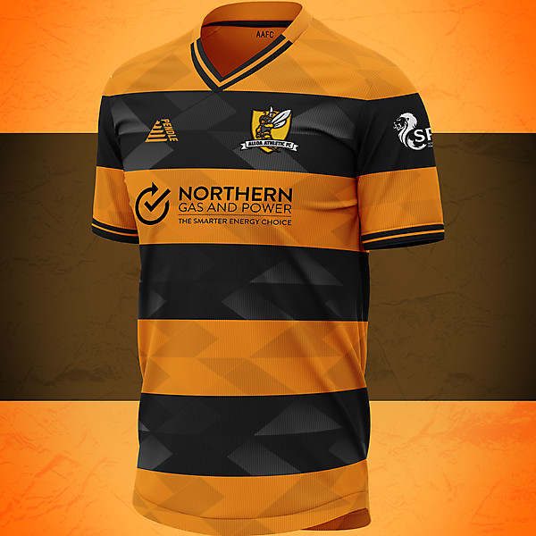 Alloa Athletic home