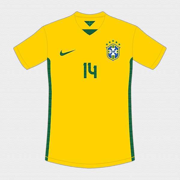 Brazil 16-17 Home ?