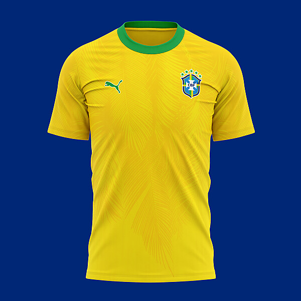 Brazil Home Kit 