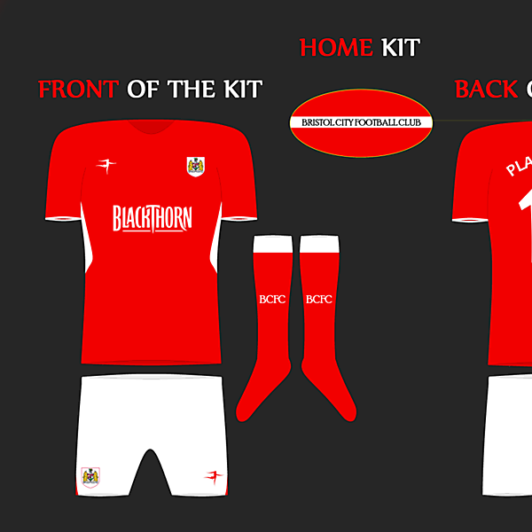 Bristol City 2014/15 Home Kit