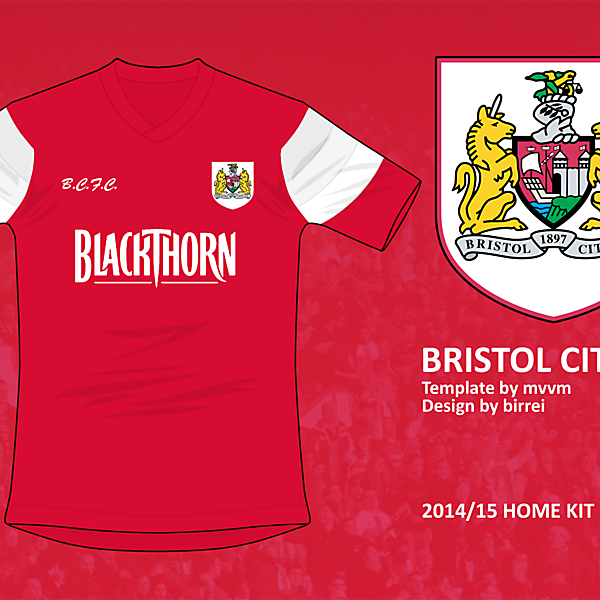 Bristol City FC Home Kit