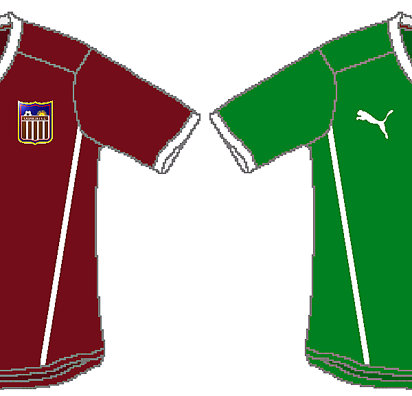 Carabobo FC Puma Home and Away