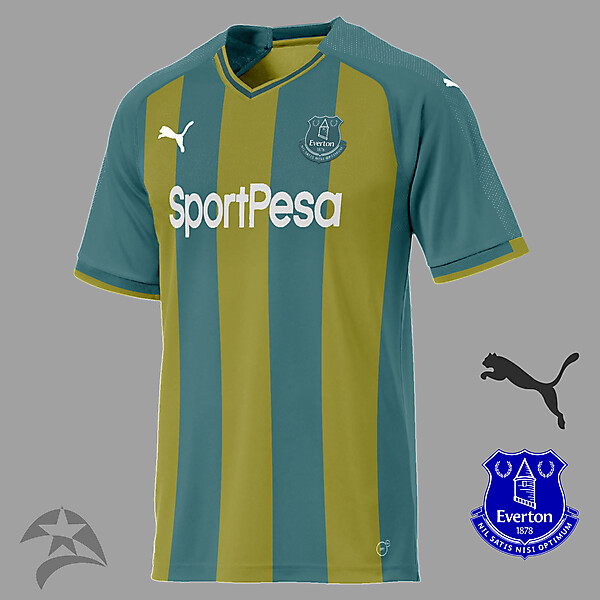 Everton Puma away concept