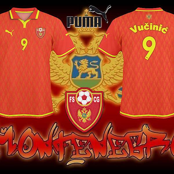 FS Montenegro Home Shirt 2010/11