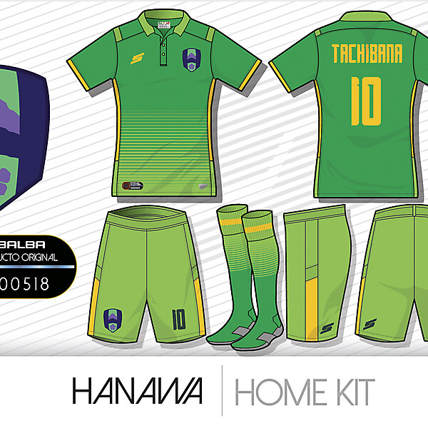 Hanawa Home kit