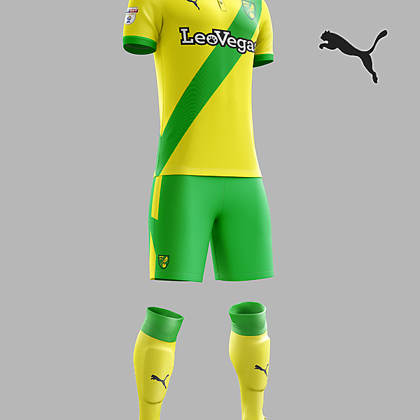 Norwich City home concept