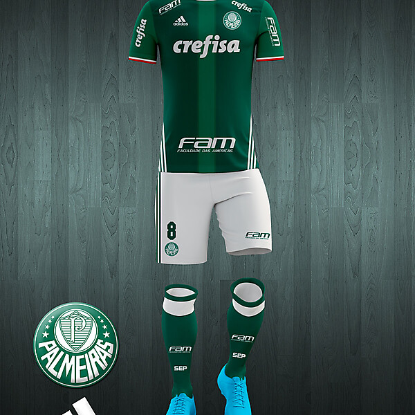 Palmeiras 2016-17 home kit