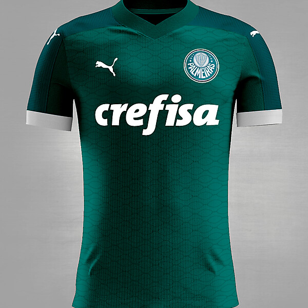 Puma Palmeiras Home 2018 Concept