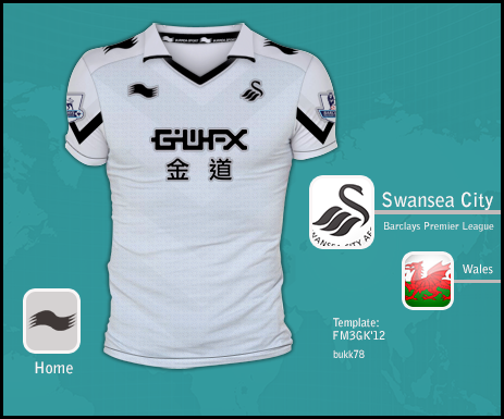 Swansea City home burrda