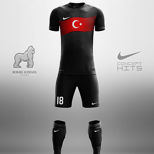 TURKEY CONCEPT KITS