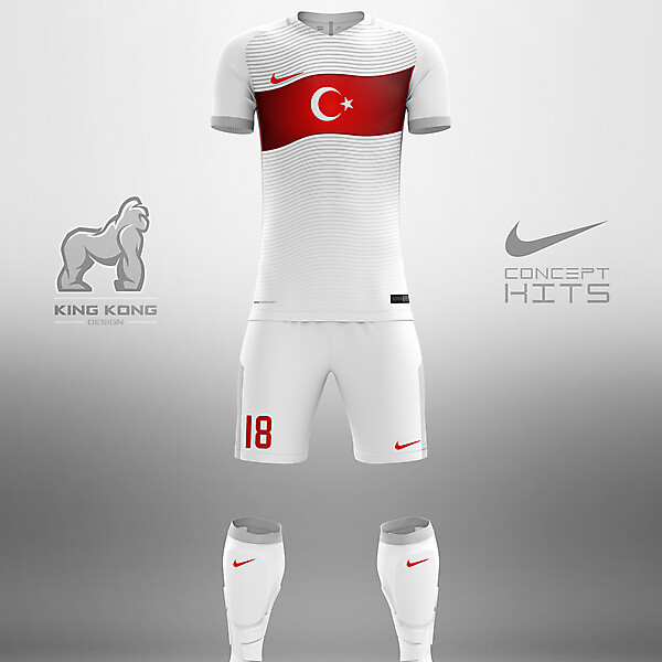 TURKEY CONCEPT KITS