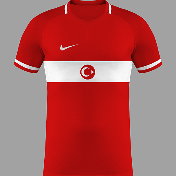 Turkey Euro 2016 Home ?