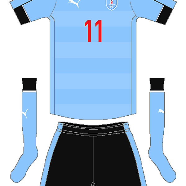 Uruguay Puma Home Kit